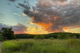 Build on your land Brad Moore Builders
